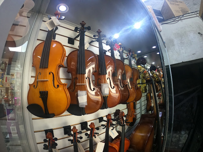 Casa Musical MIVIANYK - Tienda de instrumentos musicales