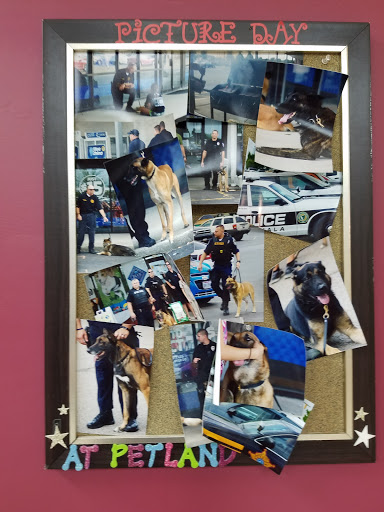 Pet Store «Petland», reviews and photos, 920 Hebron Rd, Heath, OH 43056, USA