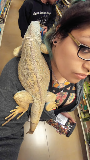 Pet Supply Store «PetSmart», reviews and photos, 3341 N Montana Ave, Helena, MT 59602, USA