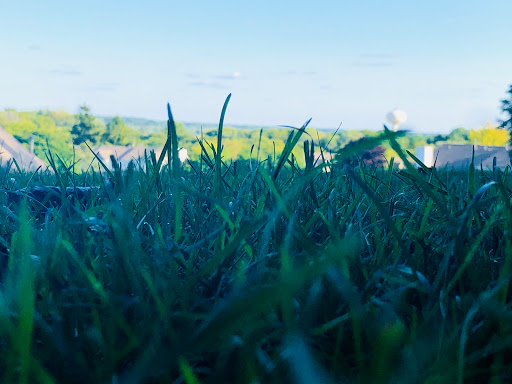 Nature Preserve «Raceway Woods Forest Preserve», reviews and photos, State Rte 31, Carpentersville, IL 60110, USA