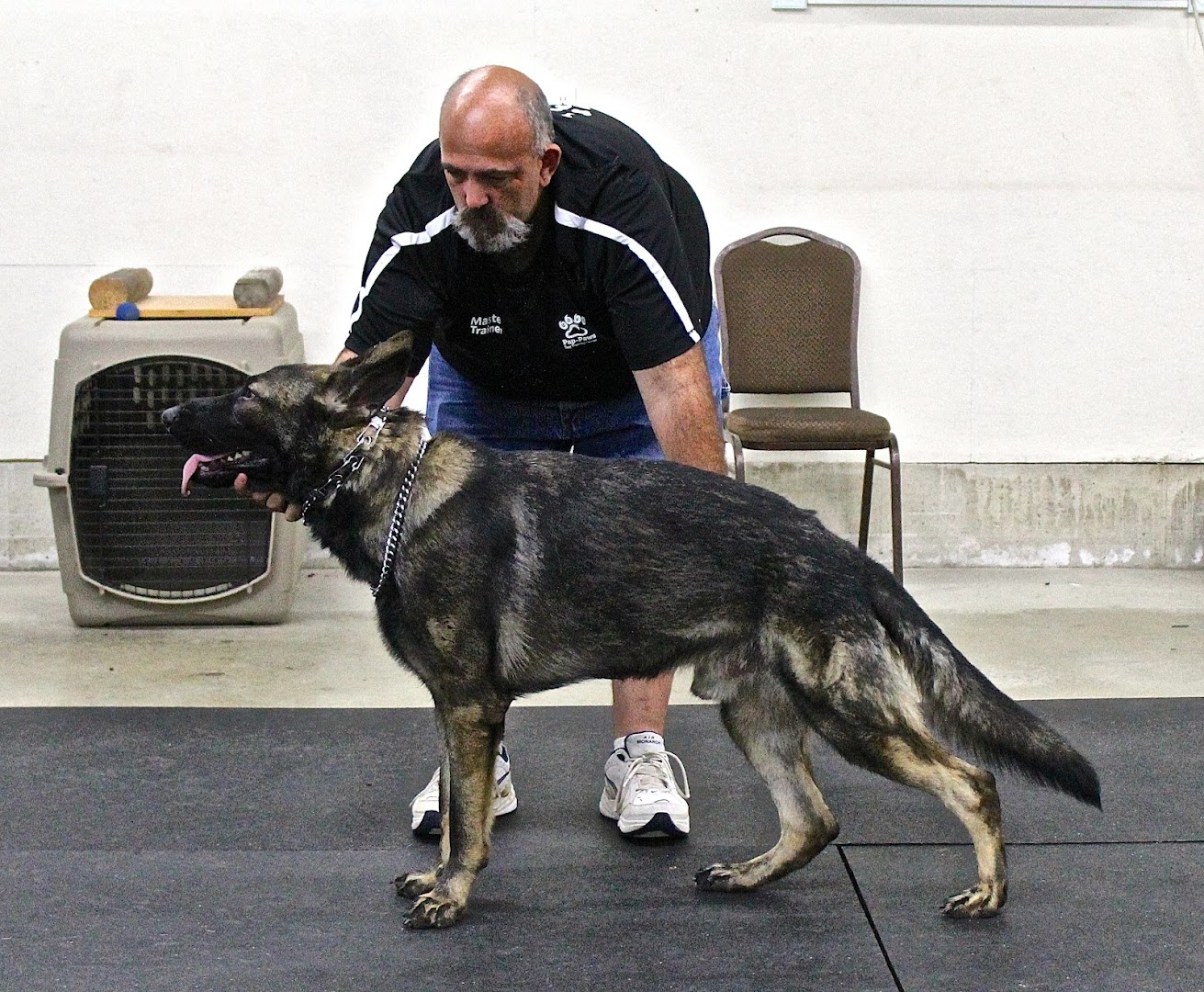 Pap-Paws Dog Training Center