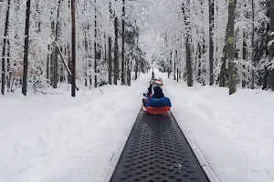 Blackwater Falls State Park Cross Country Ski Center and Sled Run image