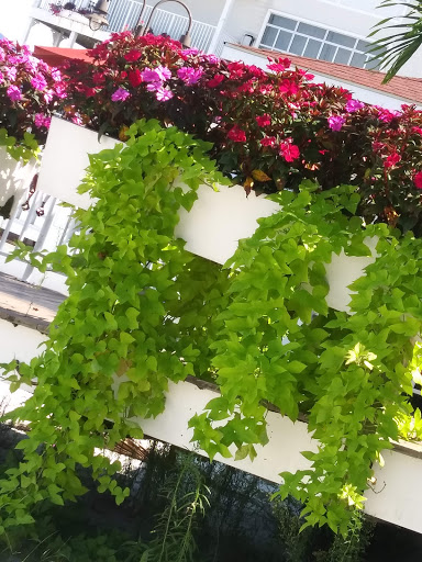 Spa Resort «Chesapeake Beach Resort and Spa», reviews and photos, 4165 Mears Ave, Chesapeake Beach, MD 20732, USA