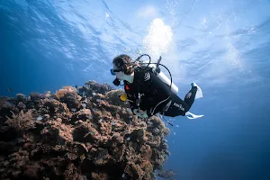 Diving Around Diving Center in Hurghada image