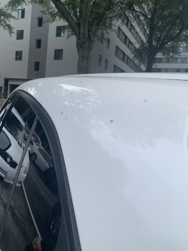 Car Wash «Mister Car Wash», reviews and photos, 2980 Piedmont Rd NE, Atlanta, GA 30305, USA