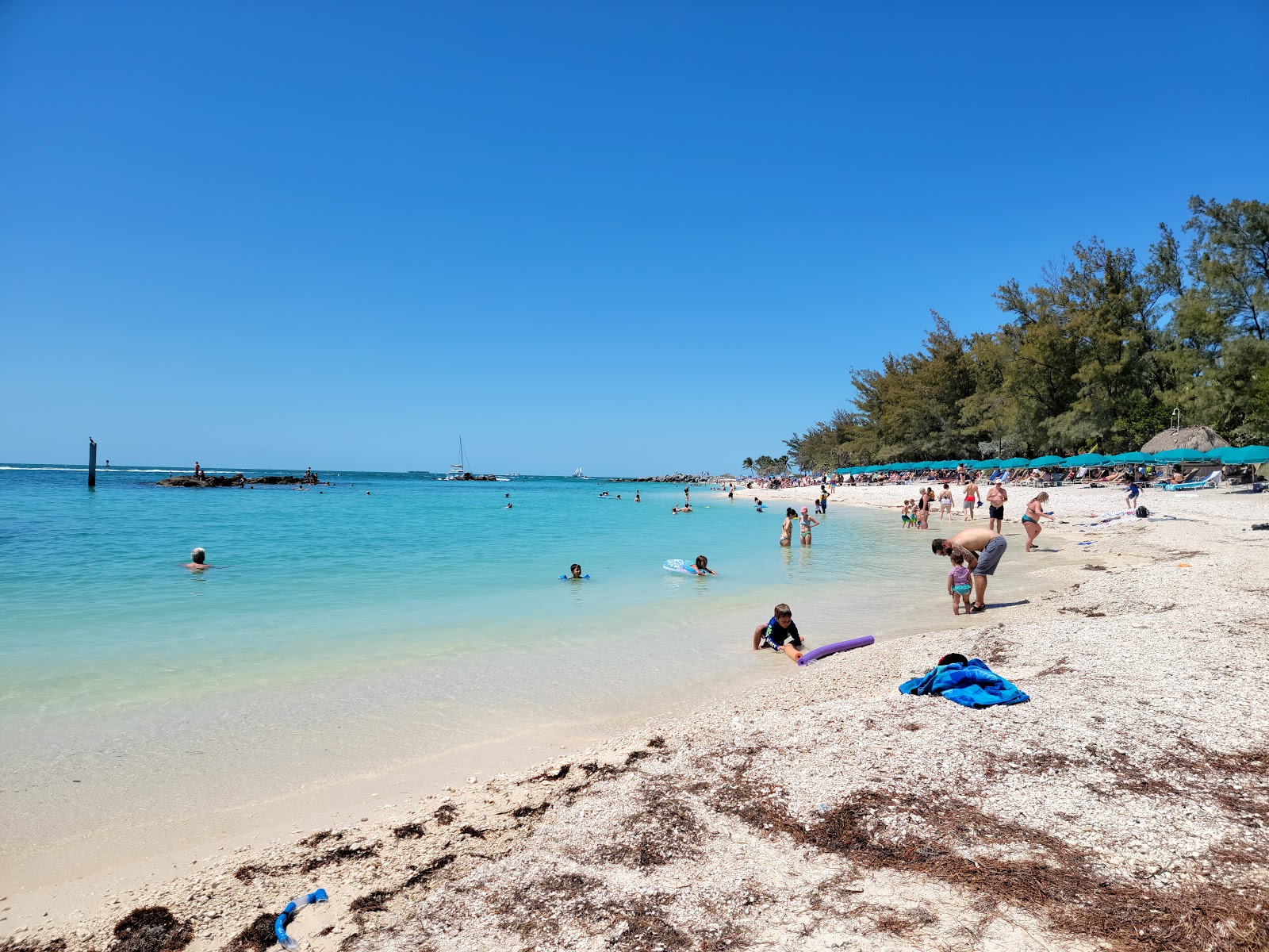 Photo of Zachary Taylor beach with turquoise water surface