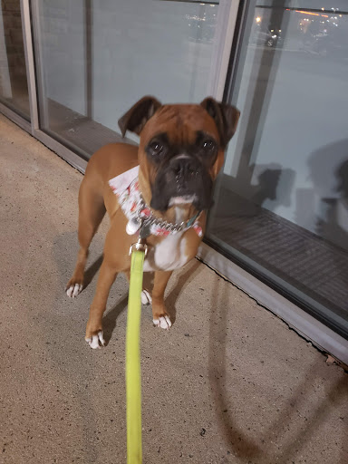 Pet Supply Store «Petco Animal Supplies», reviews and photos, 12551 Jefferson Ave #119, Newport News, VA 23602, USA