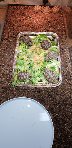 Pet Supply Store «Pet Den», reviews and photos, 1209 Nederland Ave, Nederland, TX 77627, USA