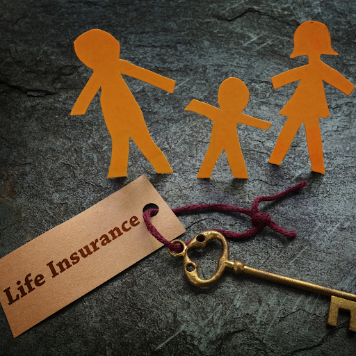 Insurance Agency «American Family Insurance - Joseph Havel», reviews and photos