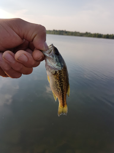 Dog Park «Grandview Dog Park», reviews and photos, 17500 E Quincy Ave, Aurora, CO 80015, USA