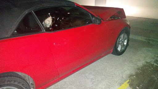 Auto Body Shop «Maaco Collision Repair & Auto Painting», reviews and photos, 3308 E Pioneer Pkwy, Arlington, TX 76010, USA