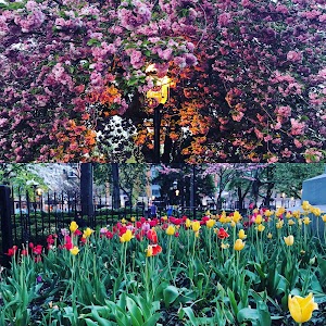 Morristown Green - photo 49