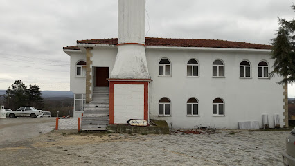 Джамия Ловци
