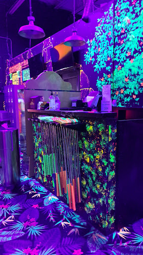 Laser Tag Center «Zap Zone Glo-Golf», reviews and photos, 41953 Ford Rd, Canton, MI 48187, USA