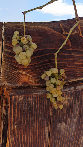 Winery «St Clair Winery & Bistro Las Cruces», reviews and photos, 1720 Avenida de Mesilla, Las Cruces, NM 88005, USA