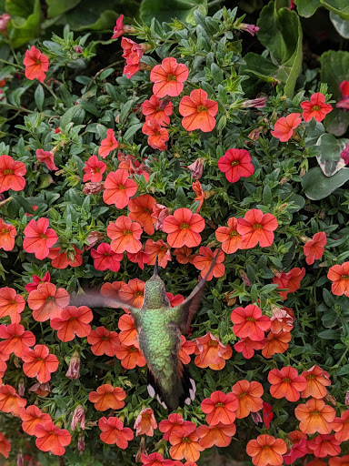 Bakery «Glen Haven General Store», reviews and photos, 7499 Co Rd 43, Glen Haven, CO 80532, USA