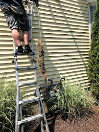 Advanced Duct Solutions, LLC - Photo 7 - Car repair in Fairfield, CT, Bridgeport