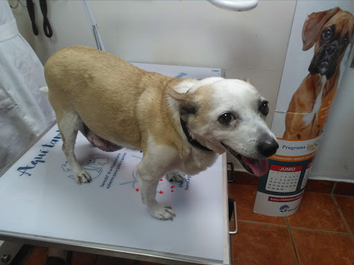 Clínica Veterinaria Alqueries en Les Alqueries