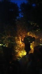 Photo n°49 de Apicius à Paris ()