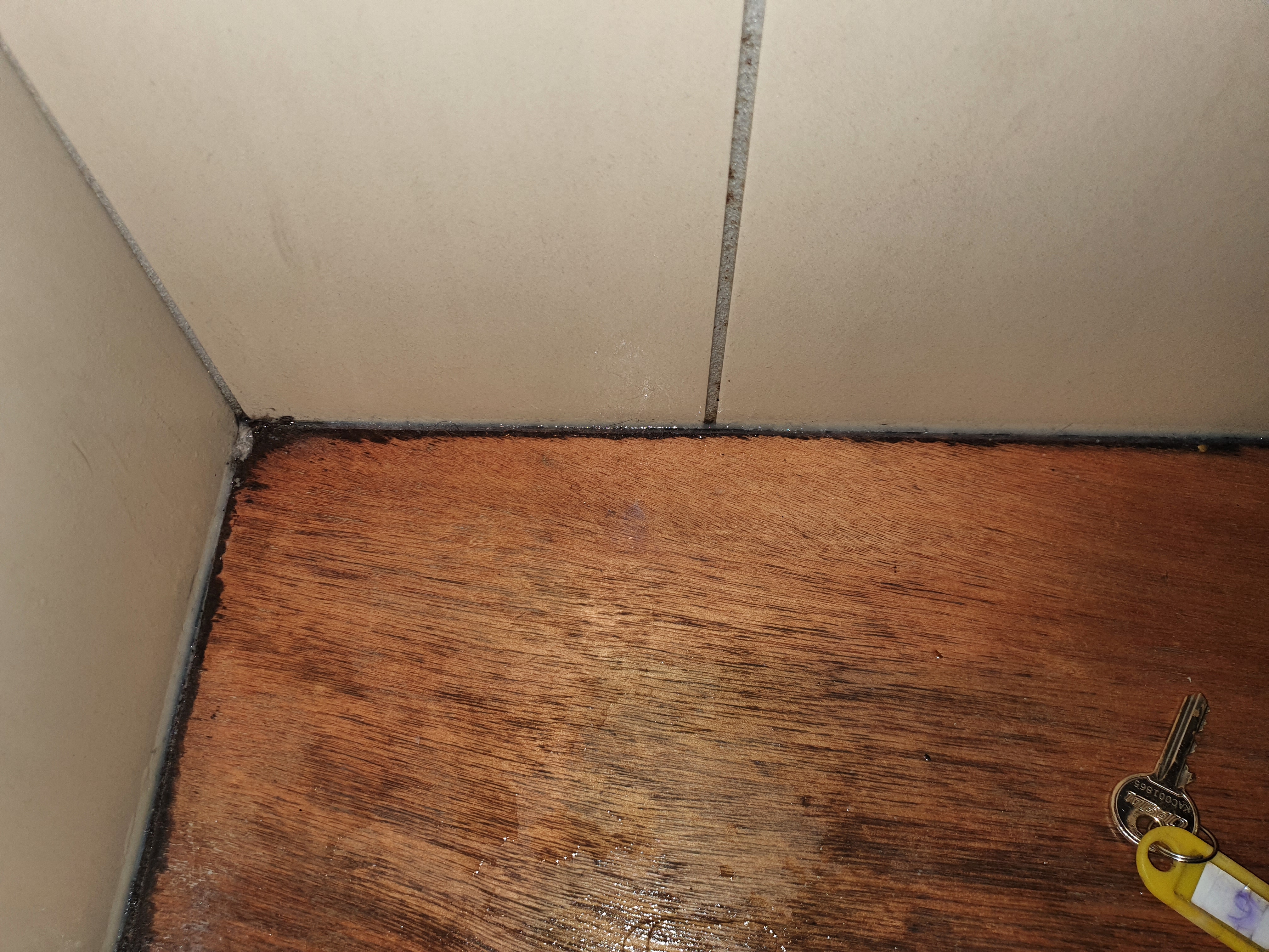 Photo n° 3 de l'avis de Thierry.a fait le 06/03/2021 à 16:42