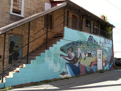 Coffee Shop «Driftless Cafe», reviews and photos, 118 W Court St, Viroqua, WI 54665, USA