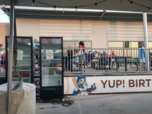 Stadium «Palisades Credit Union Park», reviews and photos