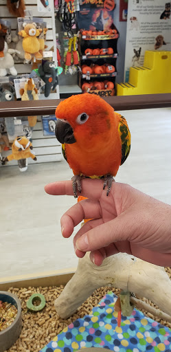 Pet Store «Petland Topeka», reviews and photos, 1801 SW Wanamaker Rd, Topeka, KS 66614, USA