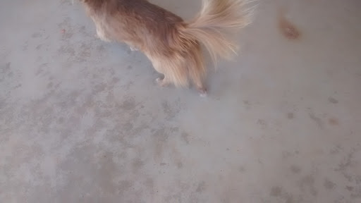 State Park «Cheyenne Mountain State Park», reviews and photos, 410 JL Ranch Heights Rd, Colorado Springs, CO 80926, USA