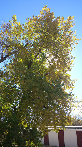 Event Venue «Norris Penrose Event Center», reviews and photos, 1045 Lower Gold Camp Rd # 3, Colorado Springs, CO 80905, USA