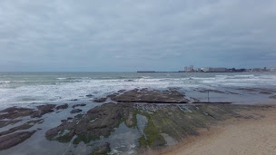Photo n°76 de LA PIZZETTA à Les Sables-d'Olonne ()