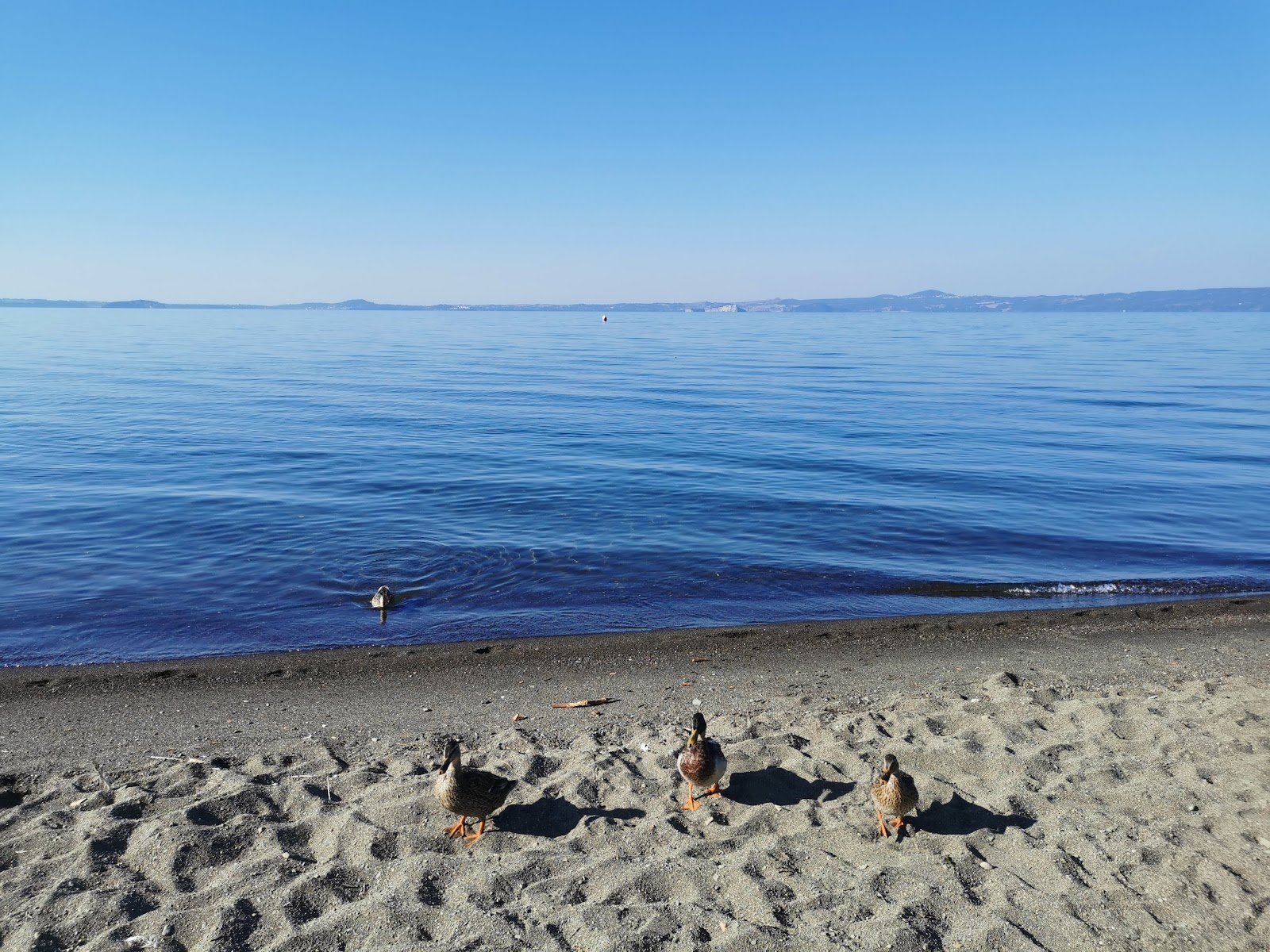 Foto van Spiaggia Il Guadetto en de nederzetting