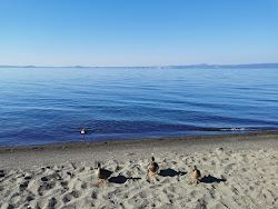Spiaggia Il Guadetto'in fotoğrafı - rahatlamayı sevenler arasında popüler bir yer