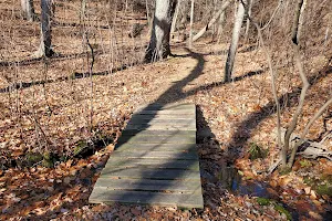 Shu Swamp Nature Preserve image