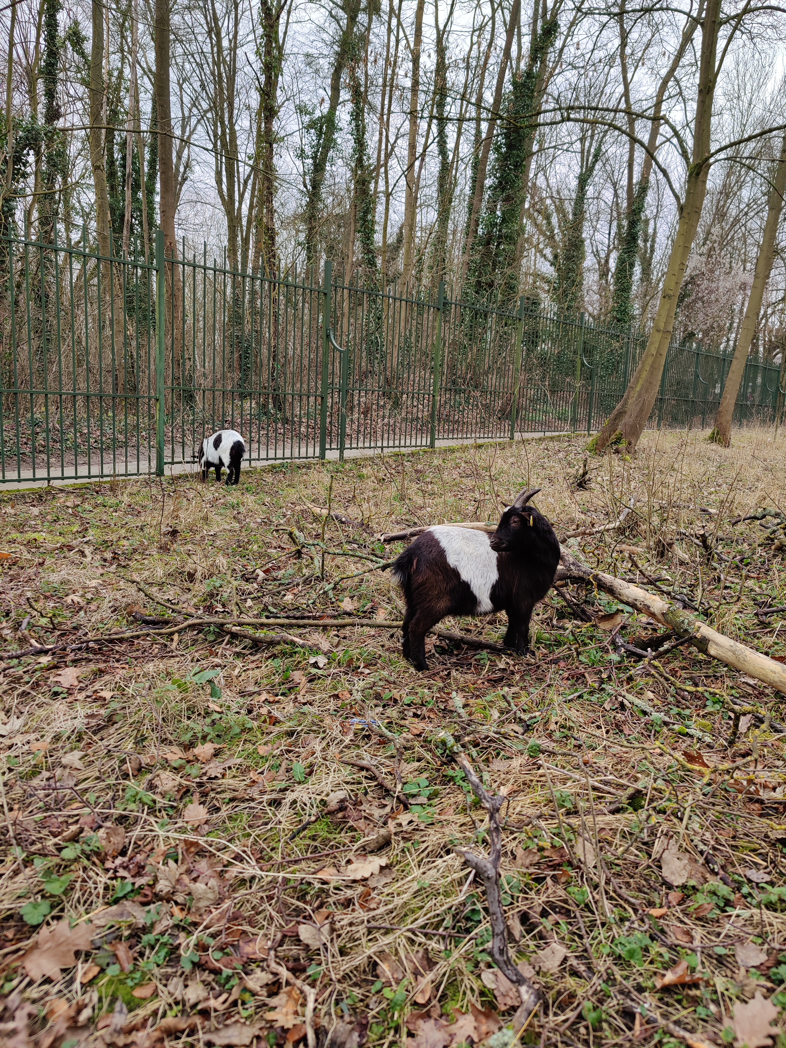Photo n° 4 de l'avis de Sébastien.e fait le 29/01/2022 à 16:19