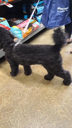Pet Supply Store «Pet Supplies Plus», reviews and photos, 3333 Crompond Rd, Yorktown Heights, NY 10598, USA