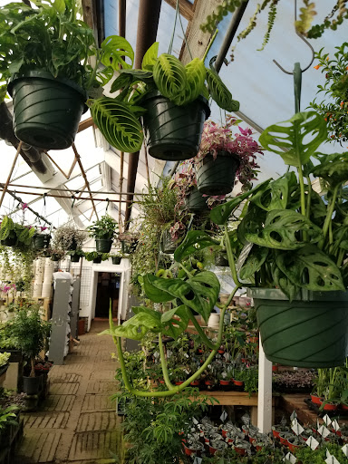 Florist «Woodbury Florist & Greenhouses», reviews and photos, 1000 Woodbury Ave, Portsmouth, NH 03801, USA