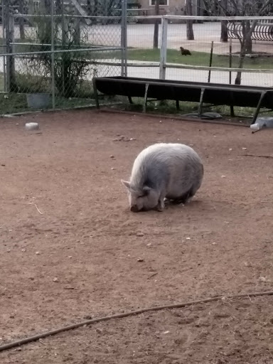 Wedding Venue «Rancho La Mission», reviews and photos, 14047 Henze Rd, San Antonio, TX 78223, USA