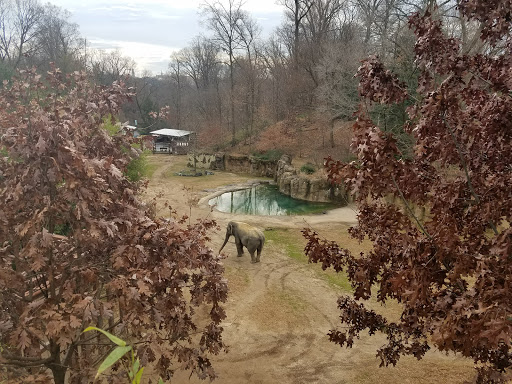 Zoo «Smithsonian National Zoological Park», reviews and photos, 3001 Connecticut Ave NW, Washington, DC 20008, USA