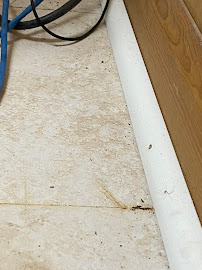 Allclean Inc