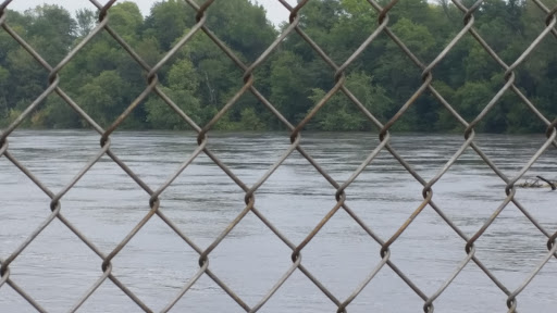 Cedar River Milling Co