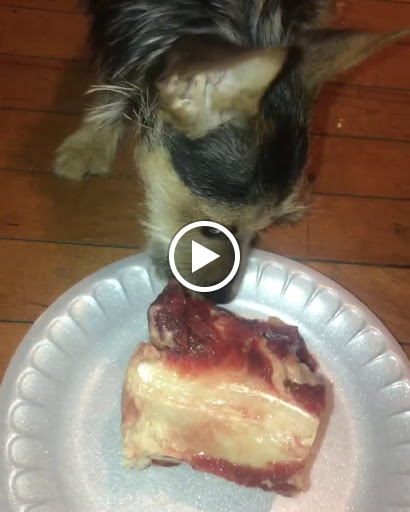 Pet Supply Store «Cheshire Cat & Dog Too», reviews and photos, 1320 Waterbury Rd, Cheshire, CT 06410, USA