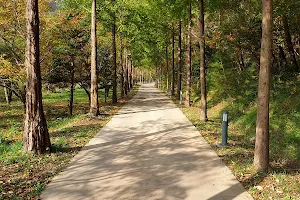 Soseonam Nature Recreation Forest image