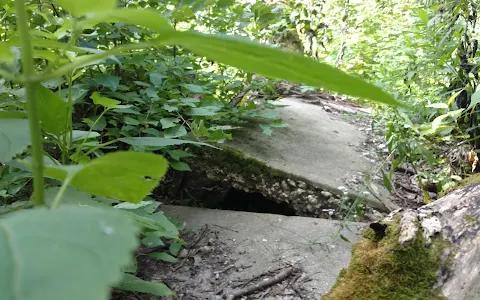 Possum Hollow Woods image