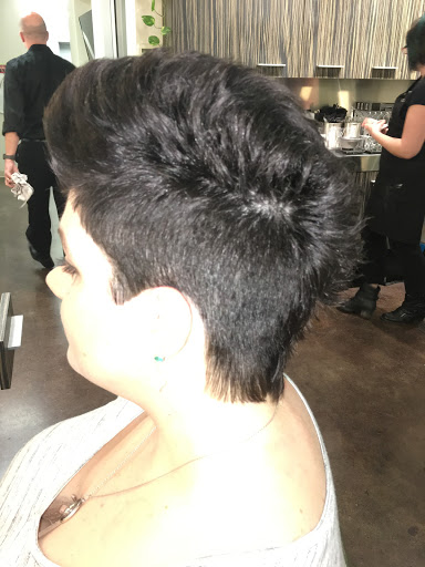 Hair Salon «Lunatic Fringe Salon Sharonville», reviews and photos, 11051 Reading Rd, Sharonville, OH 45241, USA