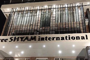 Hotel Shree Shyam International image