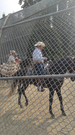 Community Center «South Park Community Center», reviews and photos, 8319 8th Ave S, Seattle, WA 98108, USA