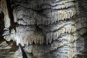 Gunns Plains Caves image