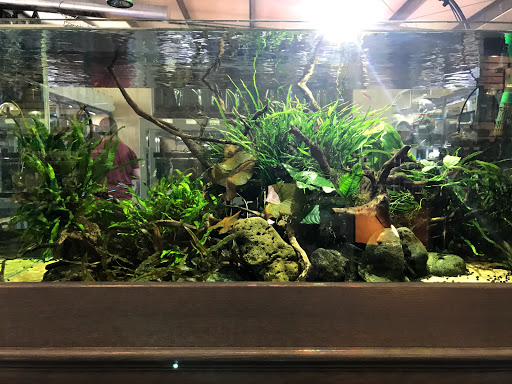 Tropical Fish Store «Arizona Nature Aquatics», reviews and photos, 3518 N Country Club Rd, Tucson, AZ 85716, USA