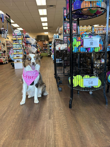 Pet Supplies Plus Hazel Green