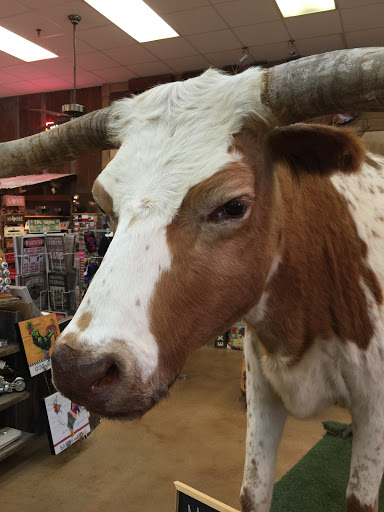 Gift Shop «Austin Gift Company», reviews and photos, 4211 S Lamar Blvd, Austin, TX 78704, USA